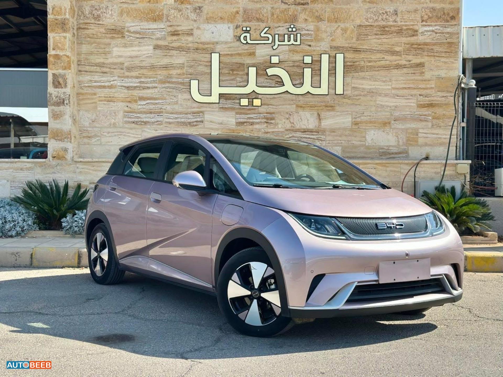 بي واي دي دولفين 2022
