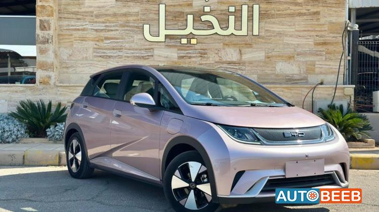 بي واي دي دولفين 2022