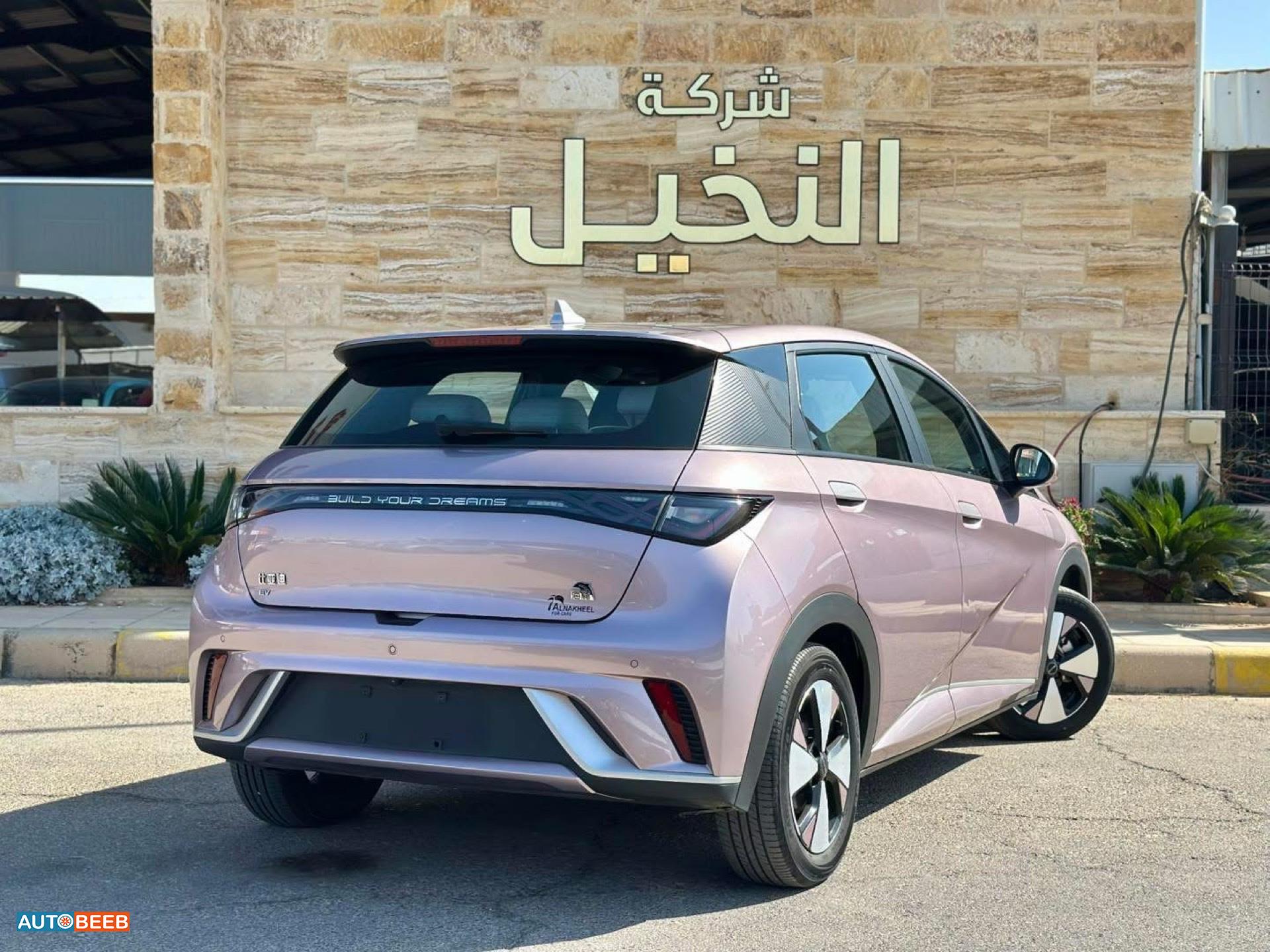 بي واي دي دولفين 2022