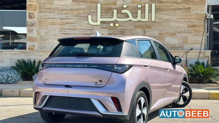 بي واي دي دولفين 2022