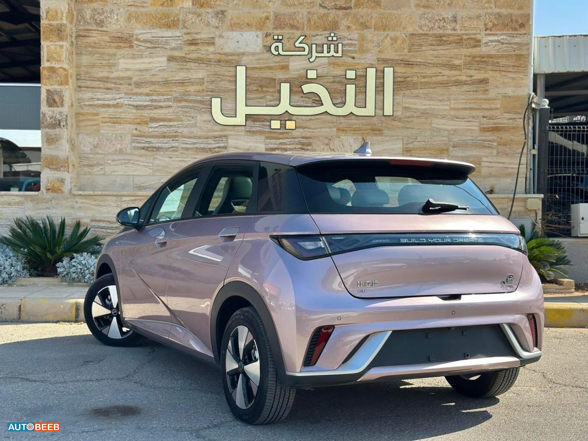 بي واي دي دولفين 2022