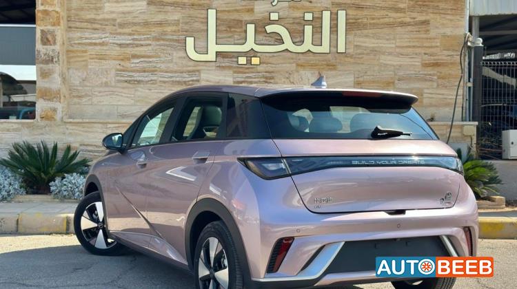 بي واي دي دولفين 2022
