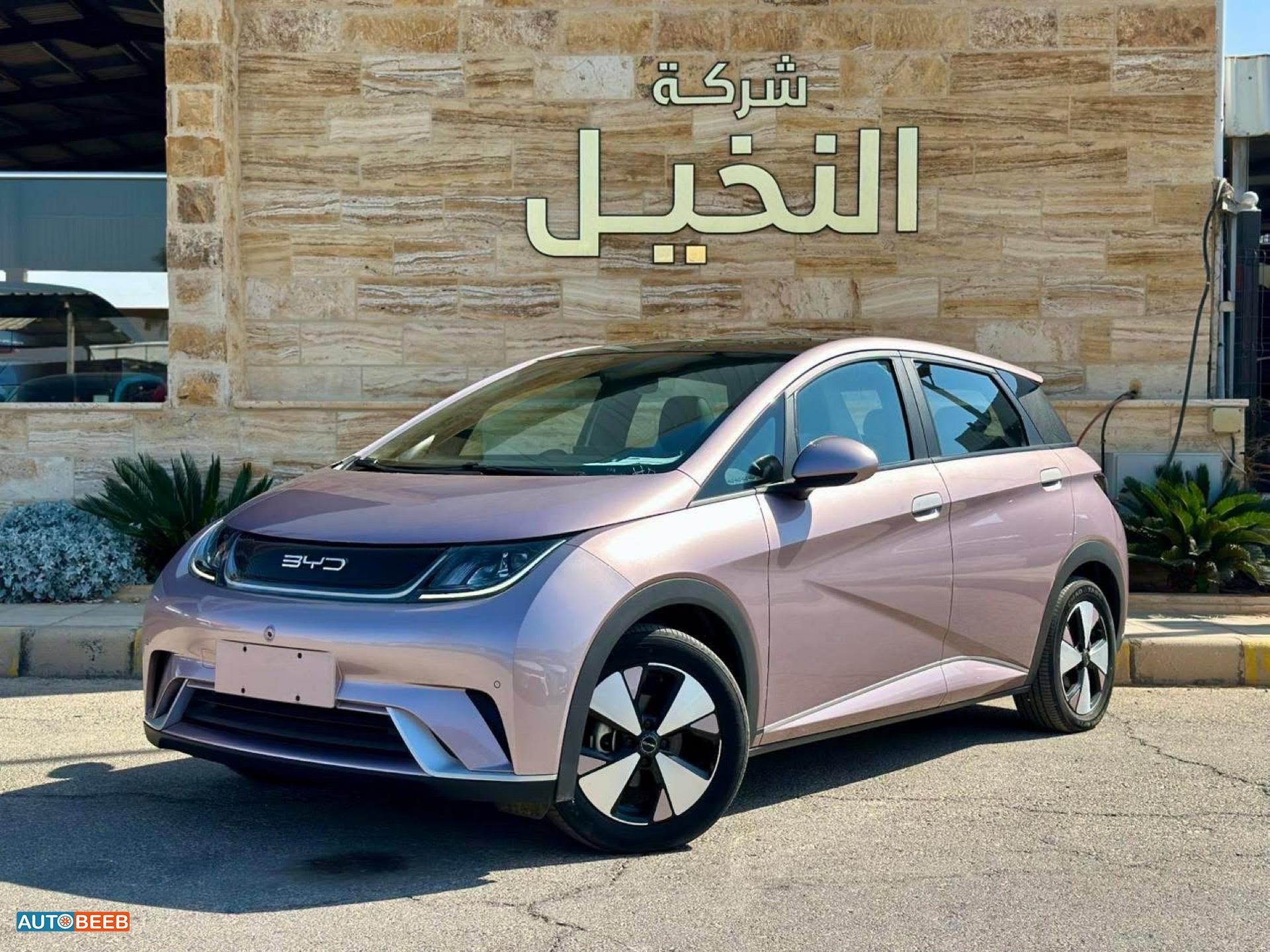 بي واي دي دولفين 2022