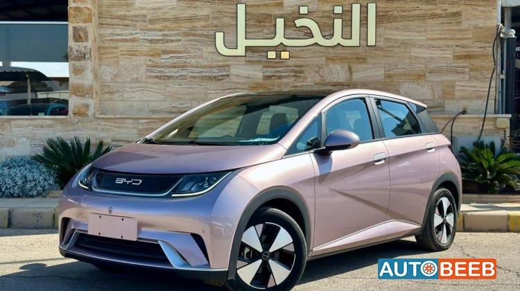 بي واي دي دولفين 2022