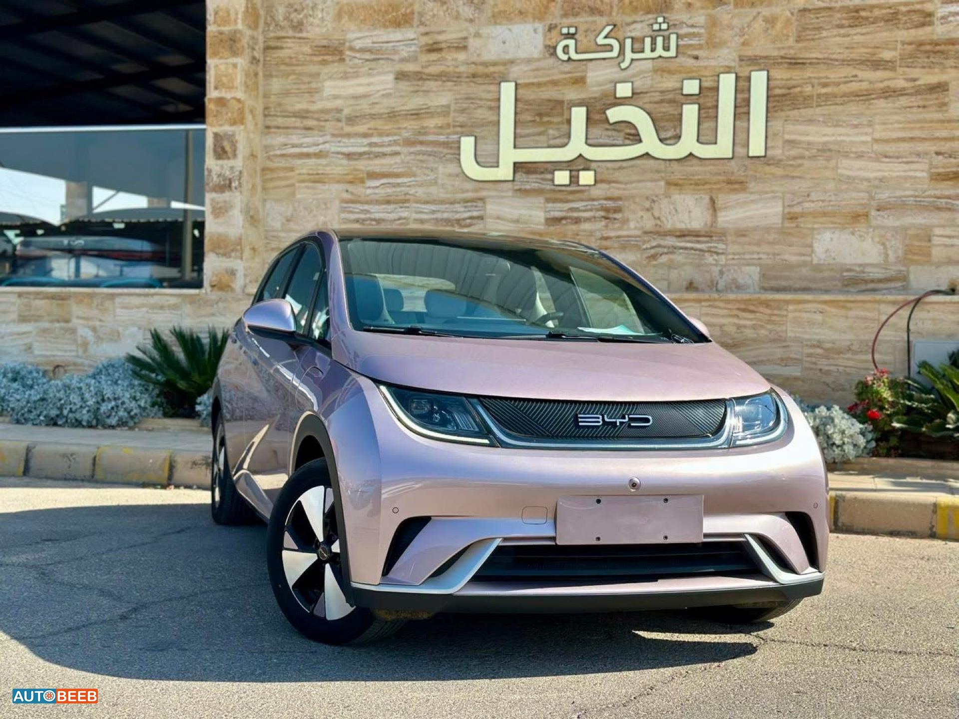 بي واي دي دولفين 2022