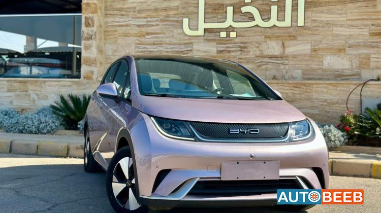 بي واي دي دولفين 2022