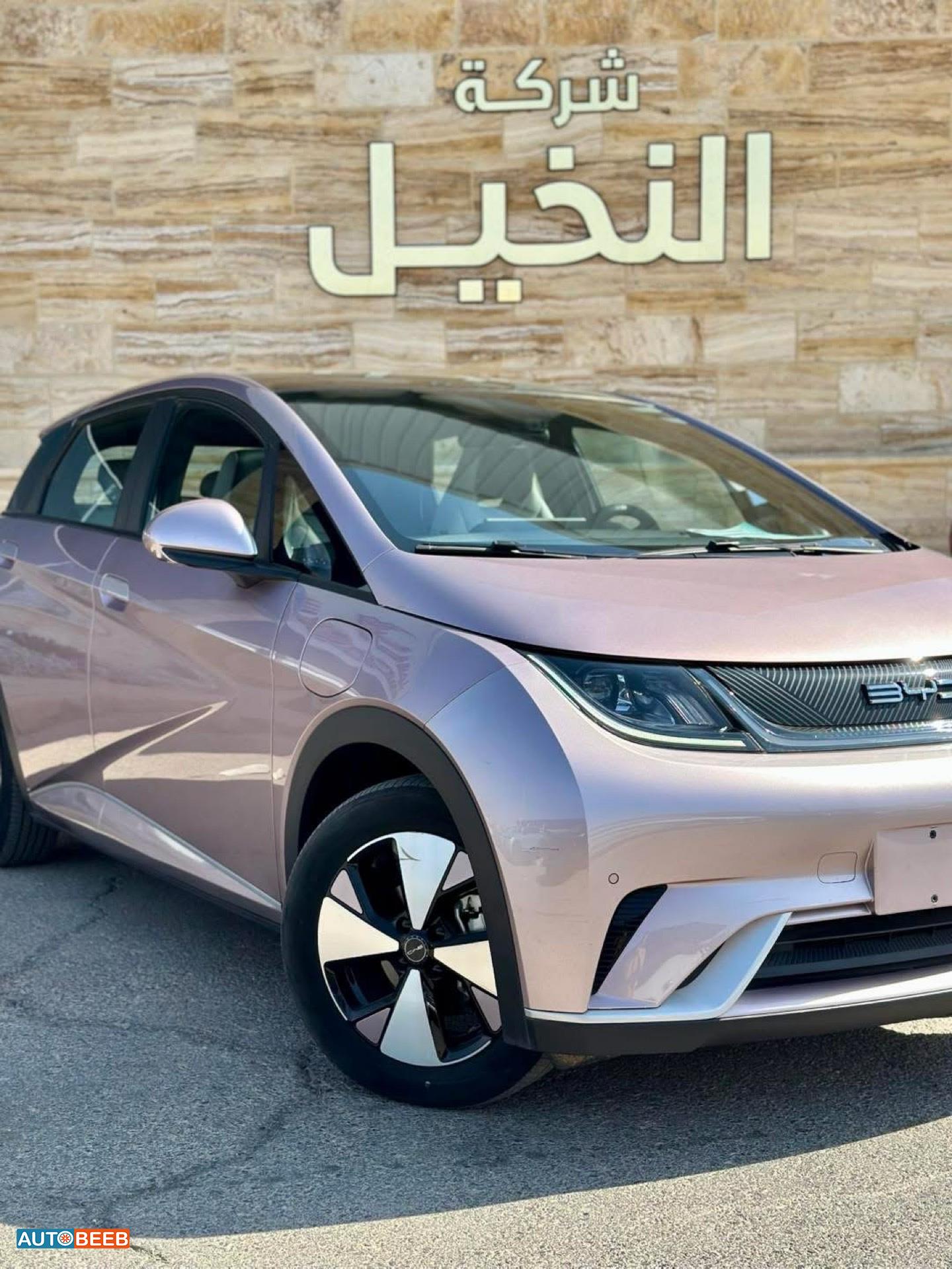 بي واي دي دولفين 2022