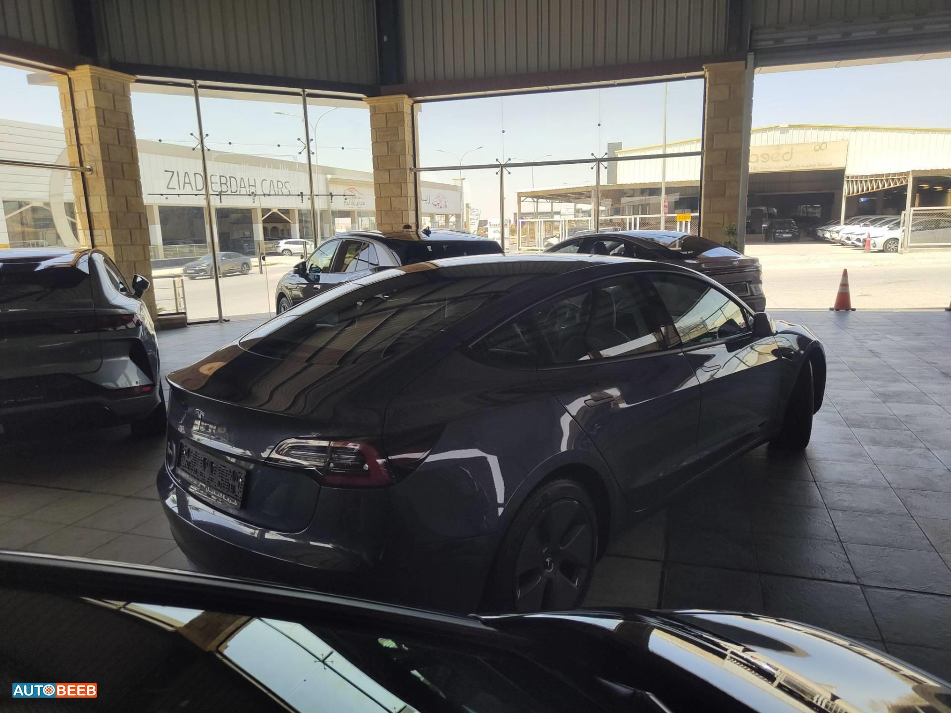 Tesla 3 2023