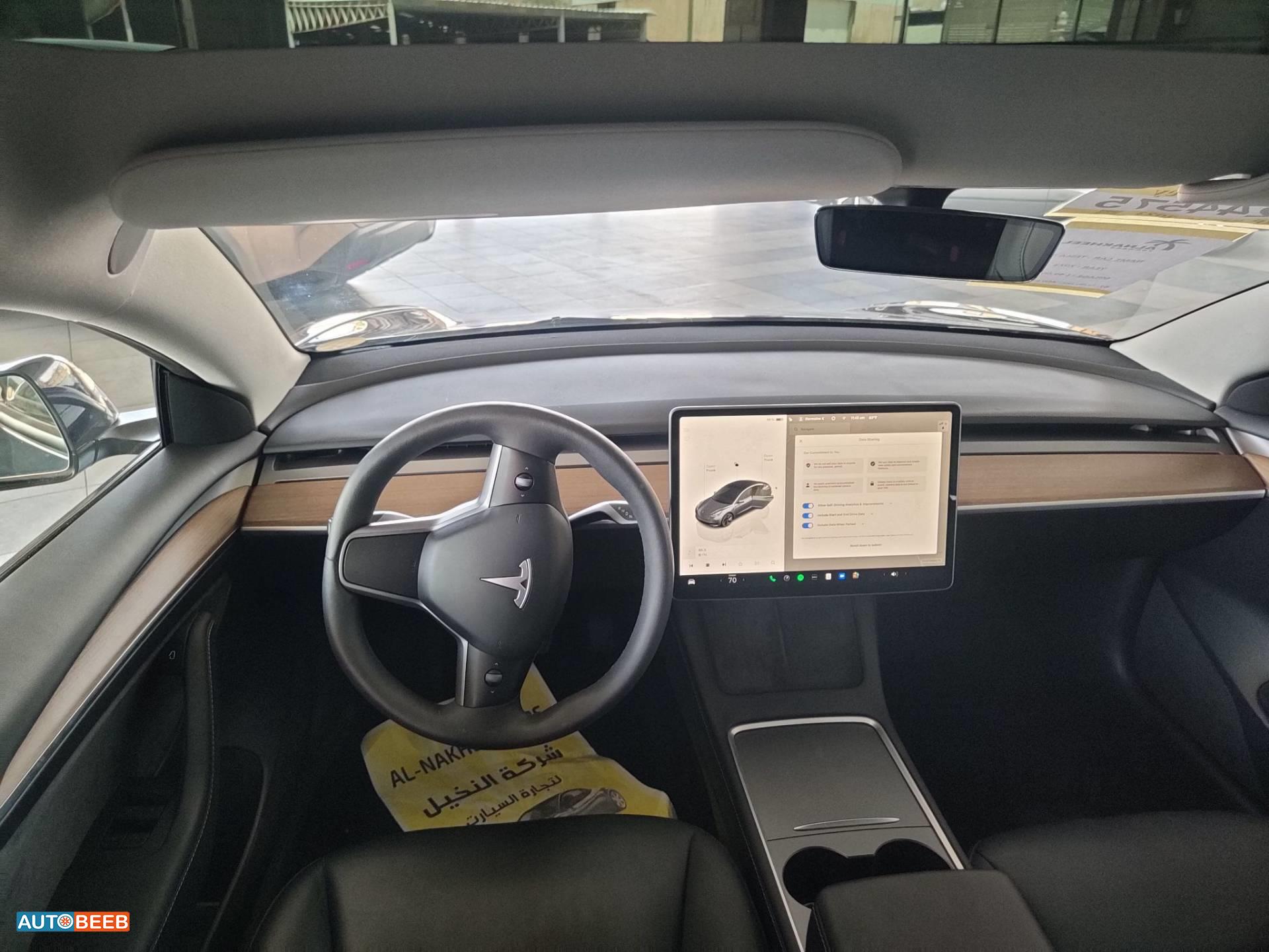 Tesla 3 2023