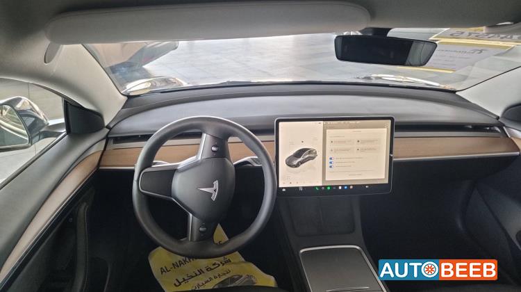 Tesla 3 2023