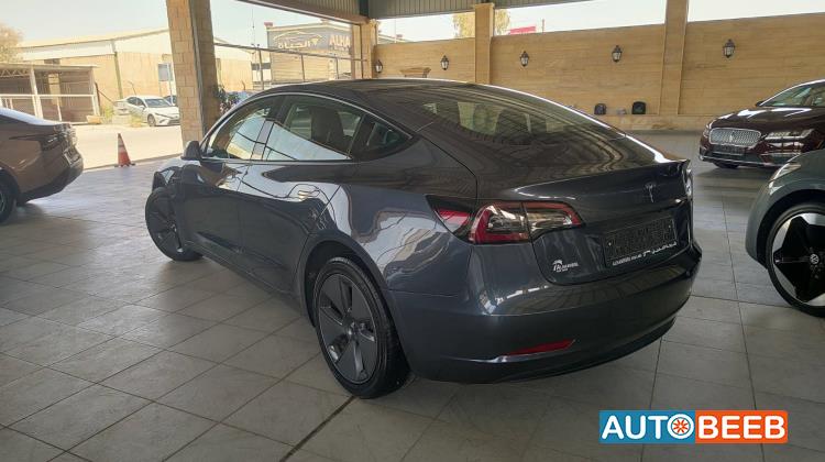 Tesla 3 2023