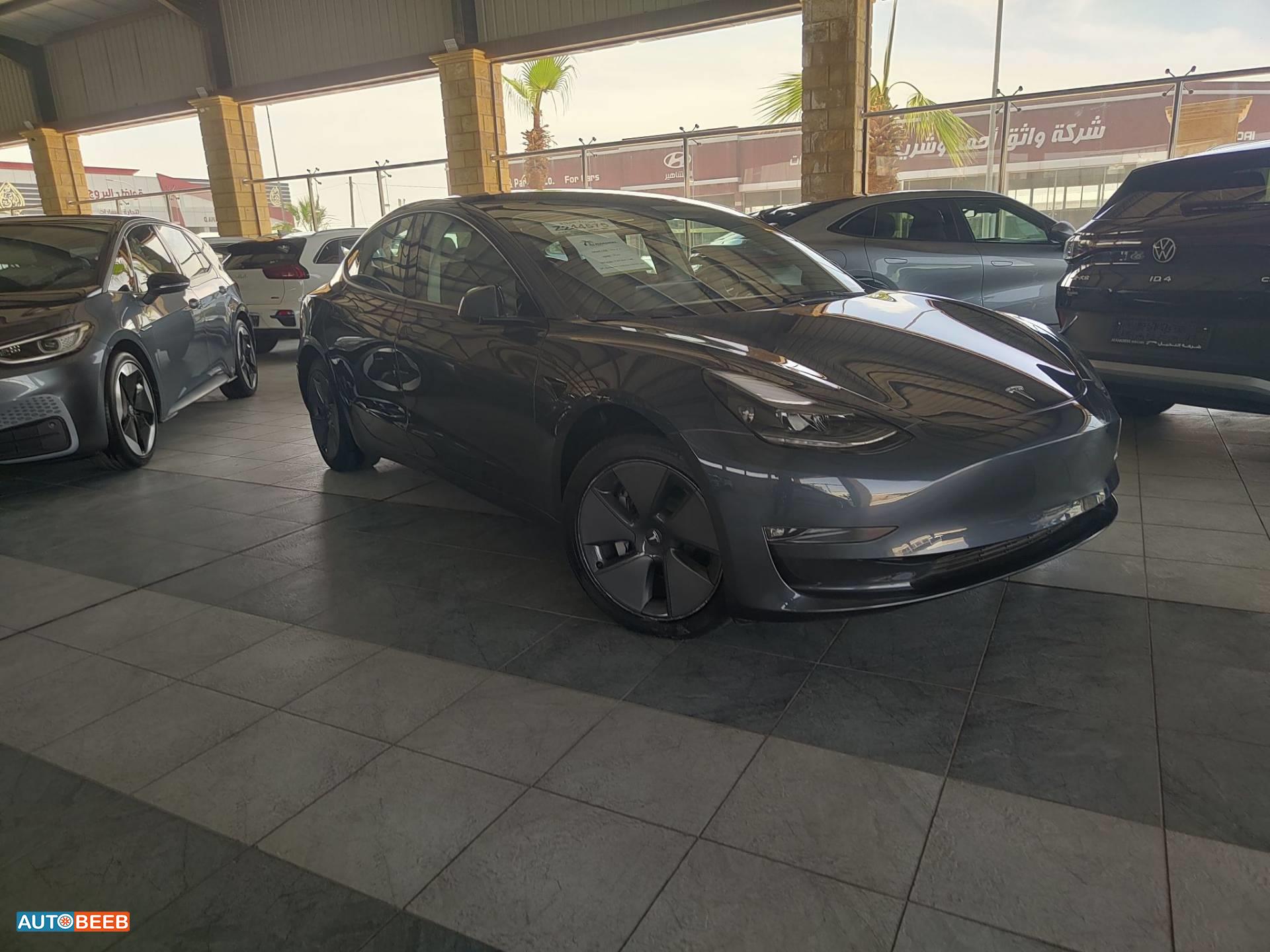 Tesla 3 2023