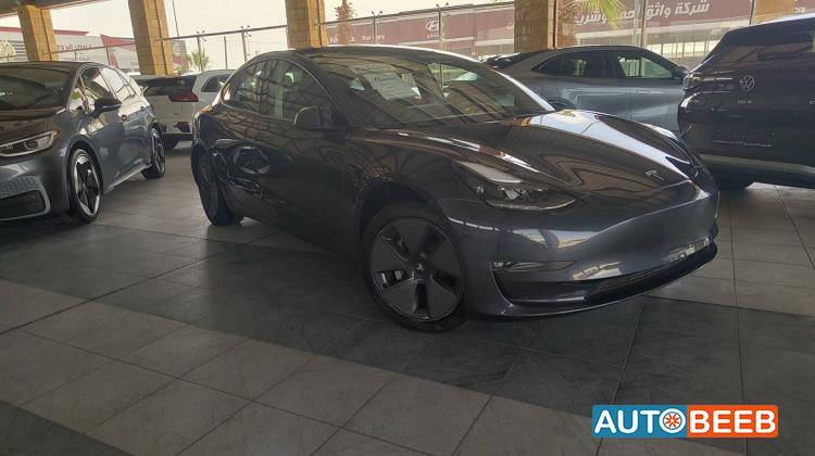 Tesla 3 2023