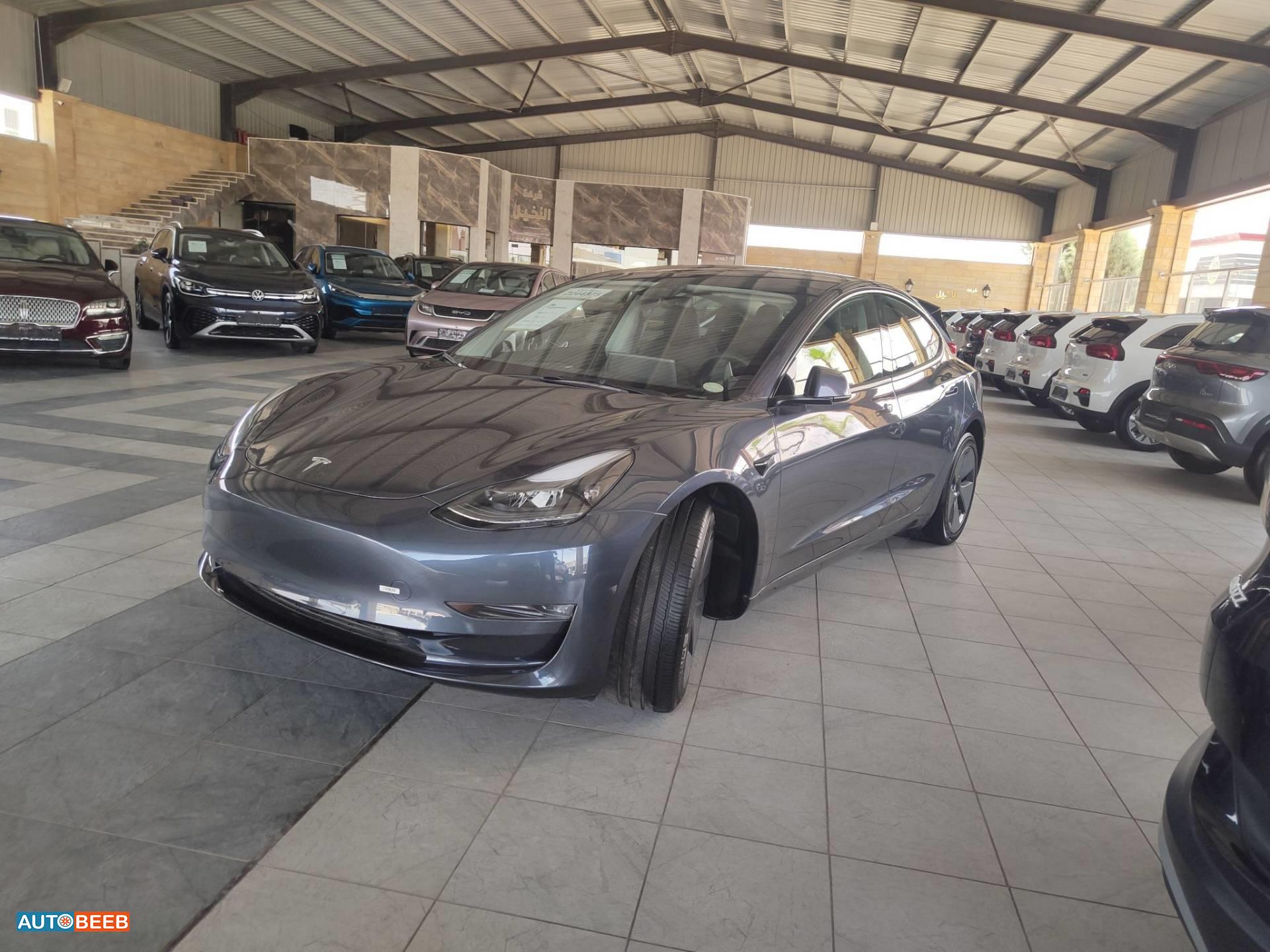 Tesla 3 2023