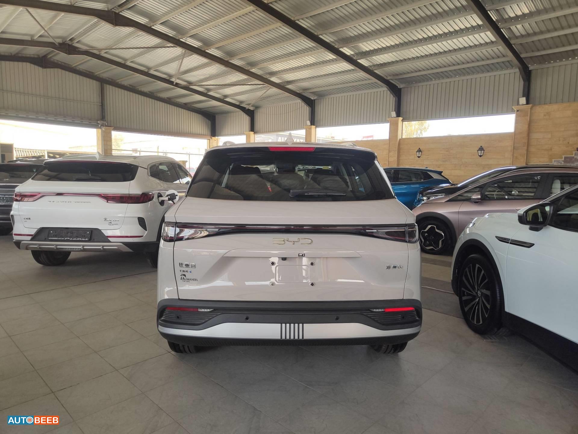 بي واي دي سي ليون 2025