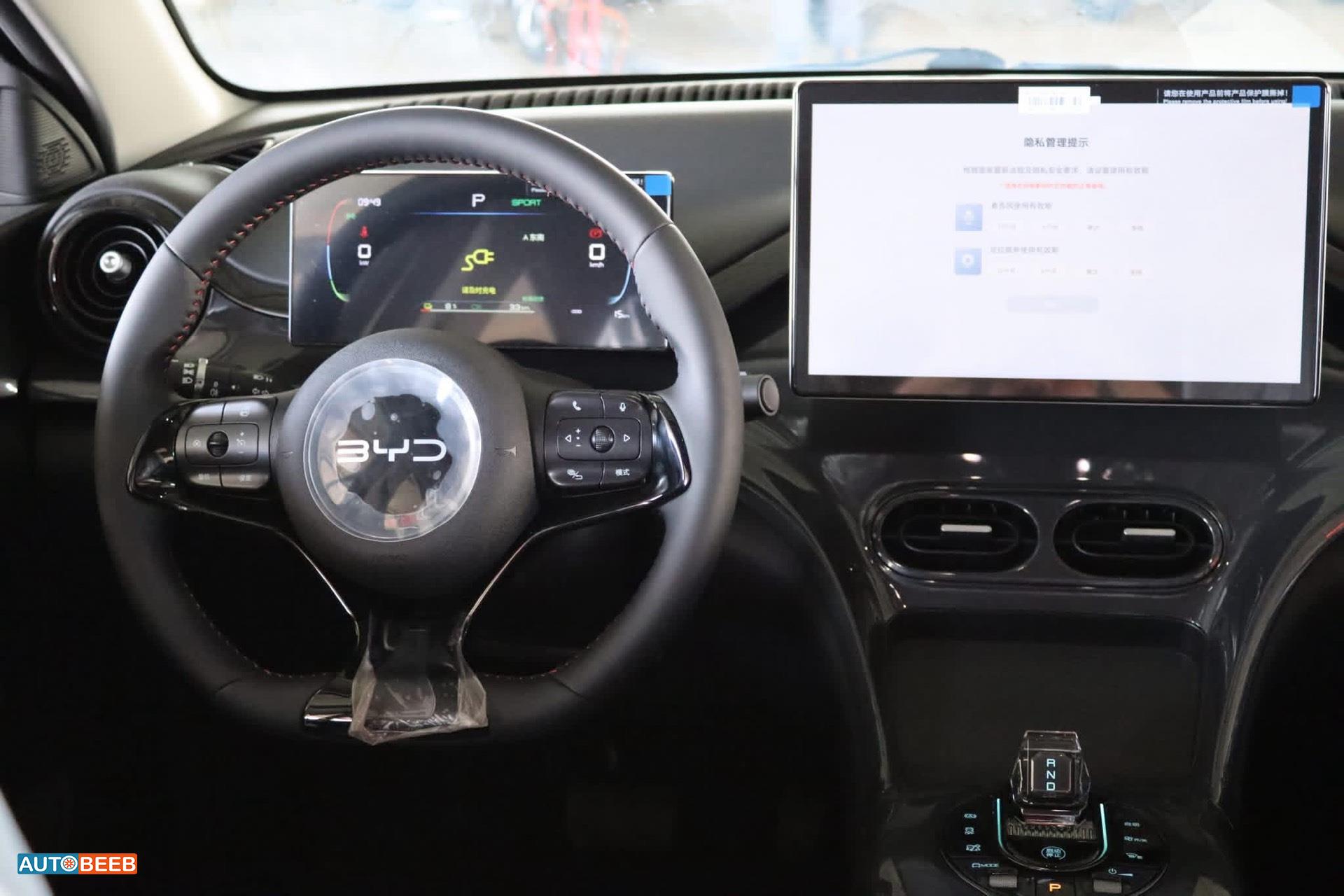 بي واي دي E2 2025