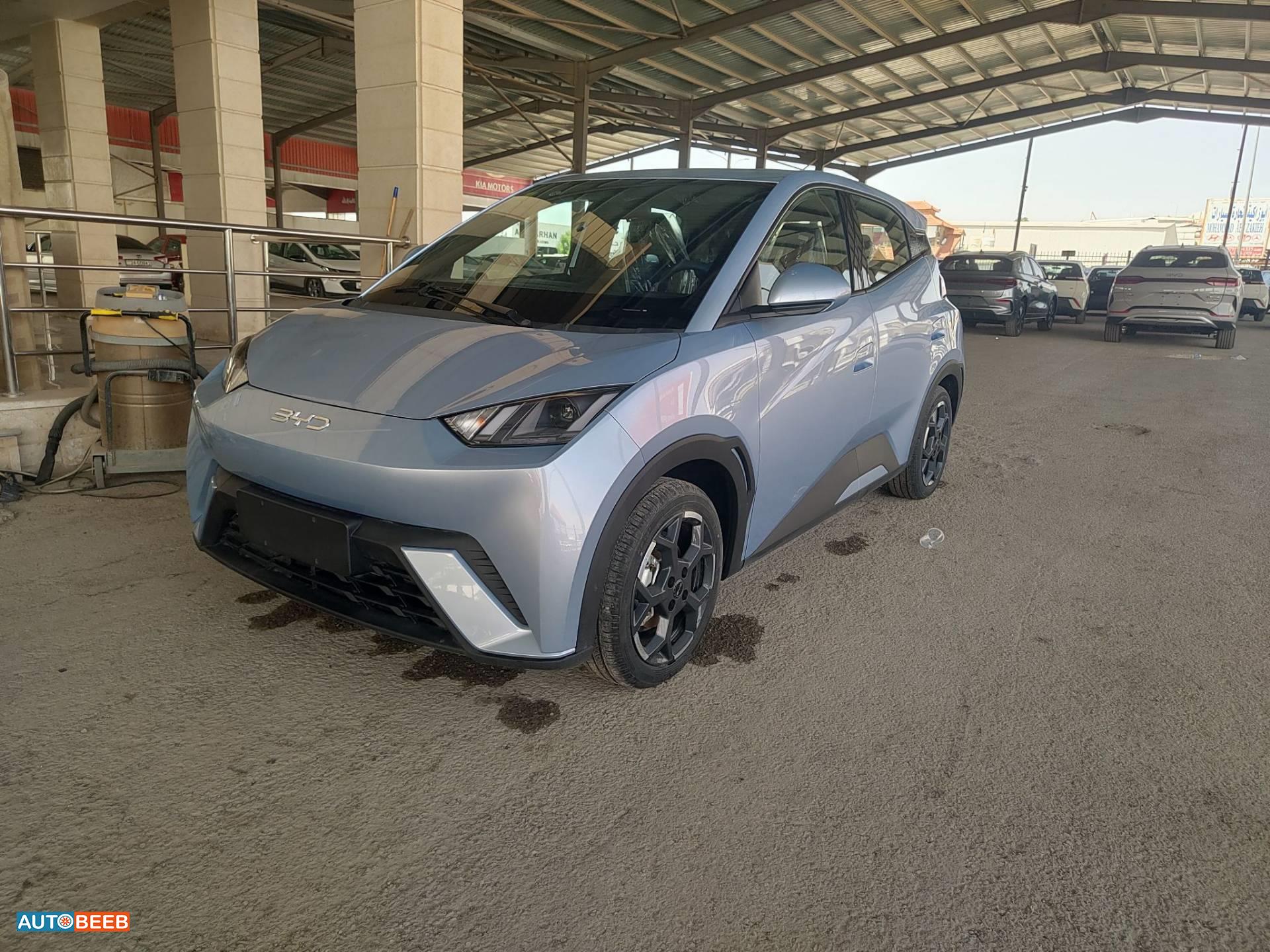 BYD Seagull 2024