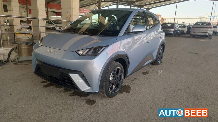 BYD Seagull 2024