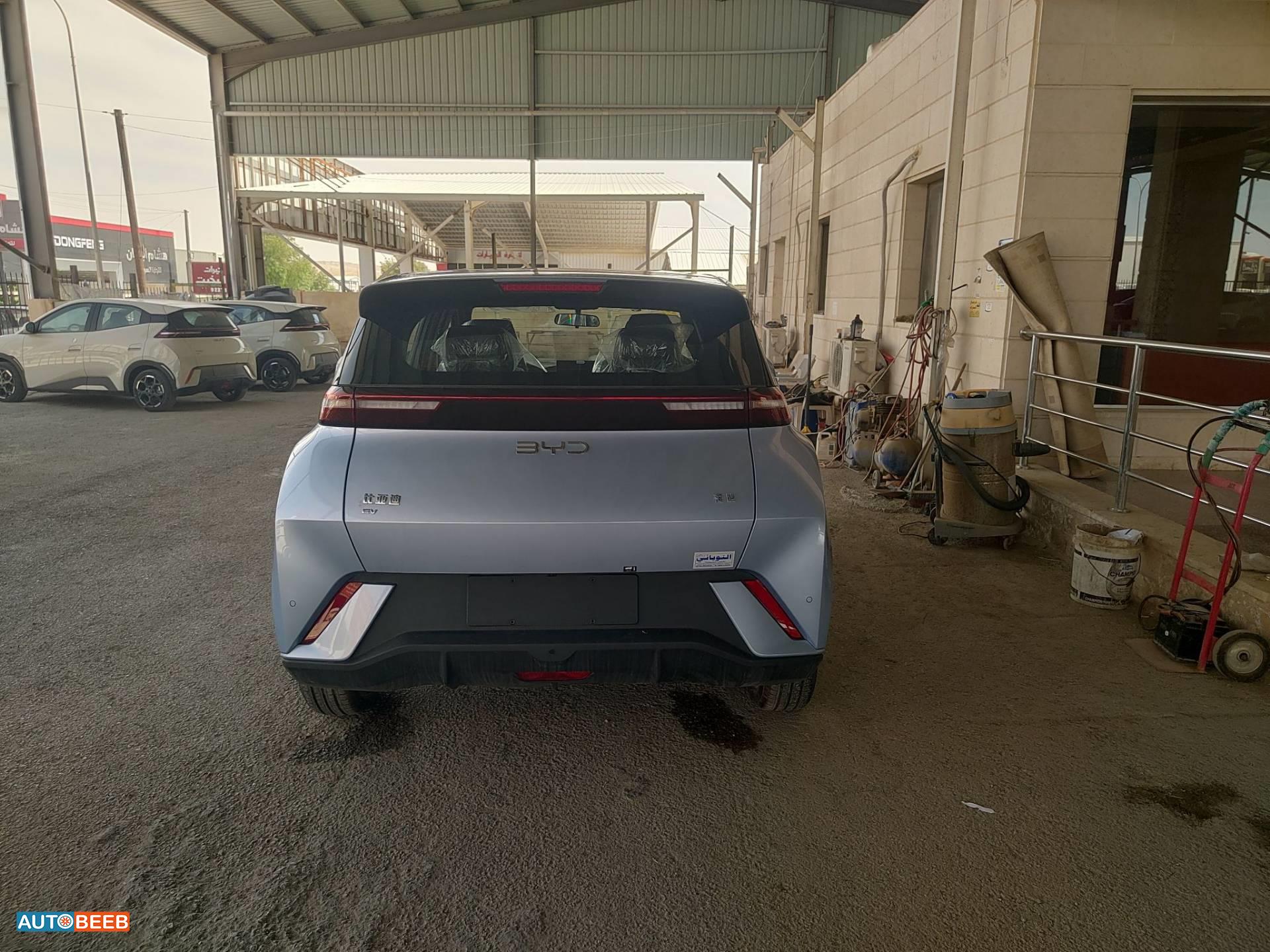 BYD Seagull 2024