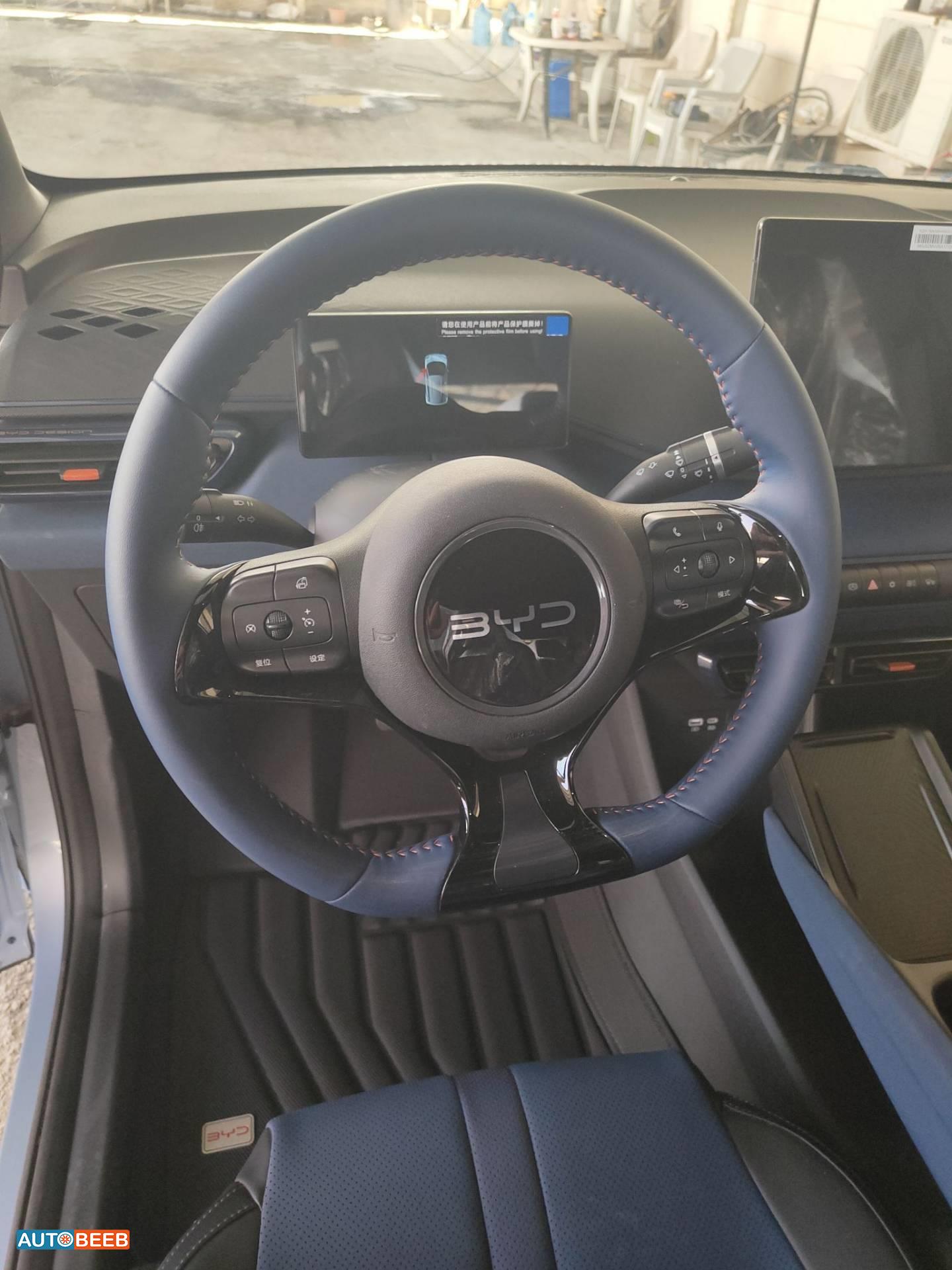 BYD Seagull 2024