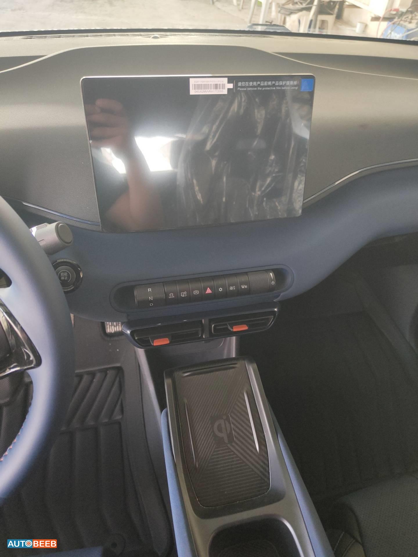 BYD Seagull 2024