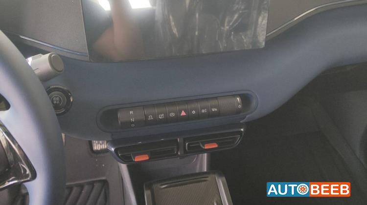 BYD Seagull 2024