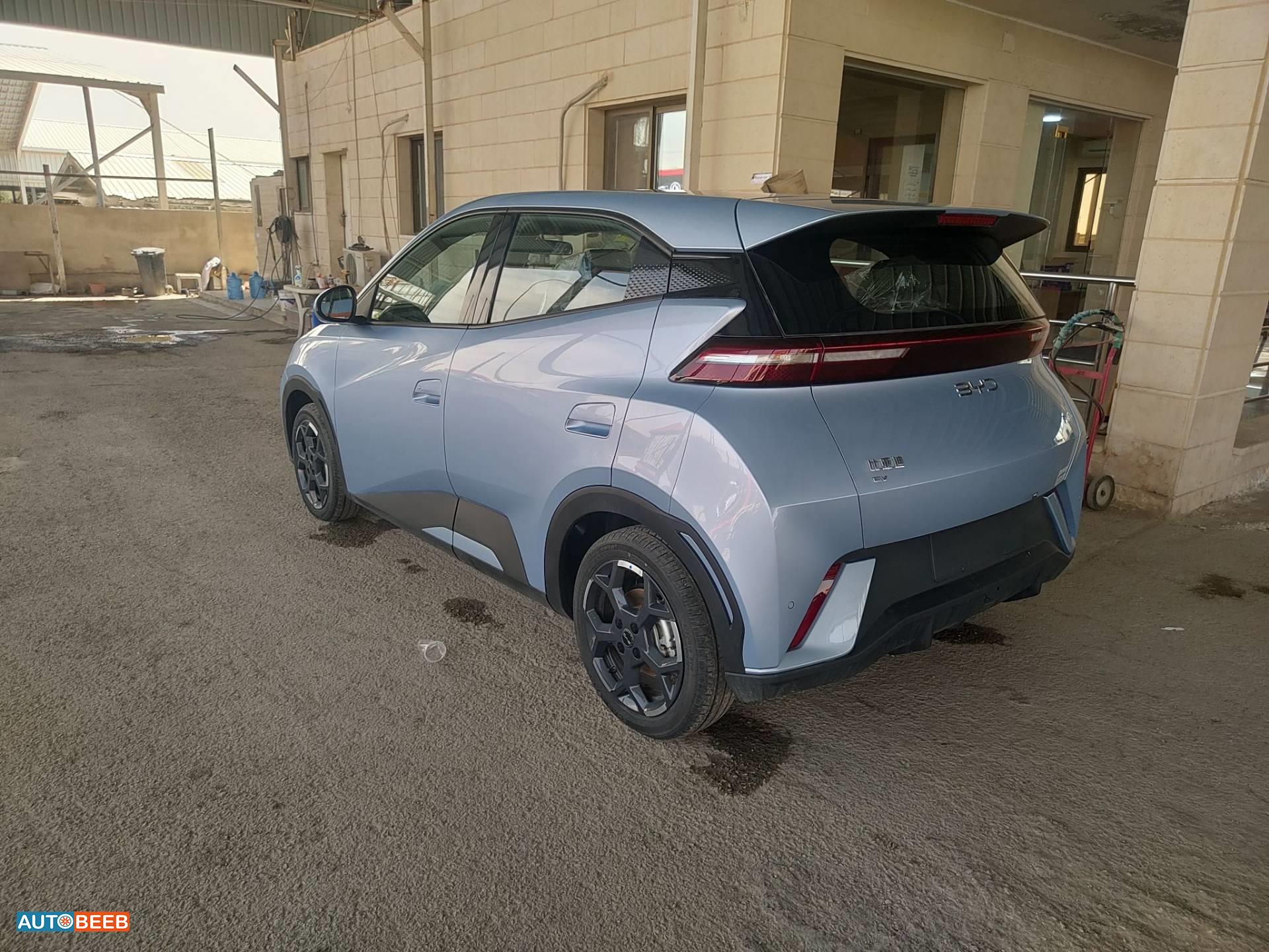 BYD Seagull 2024