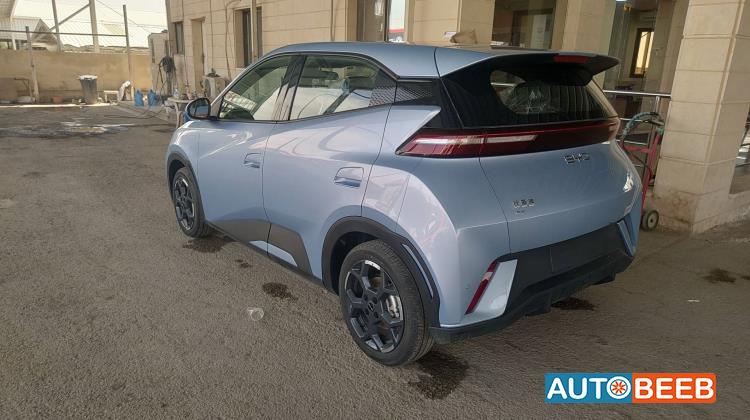 BYD Seagull 2024