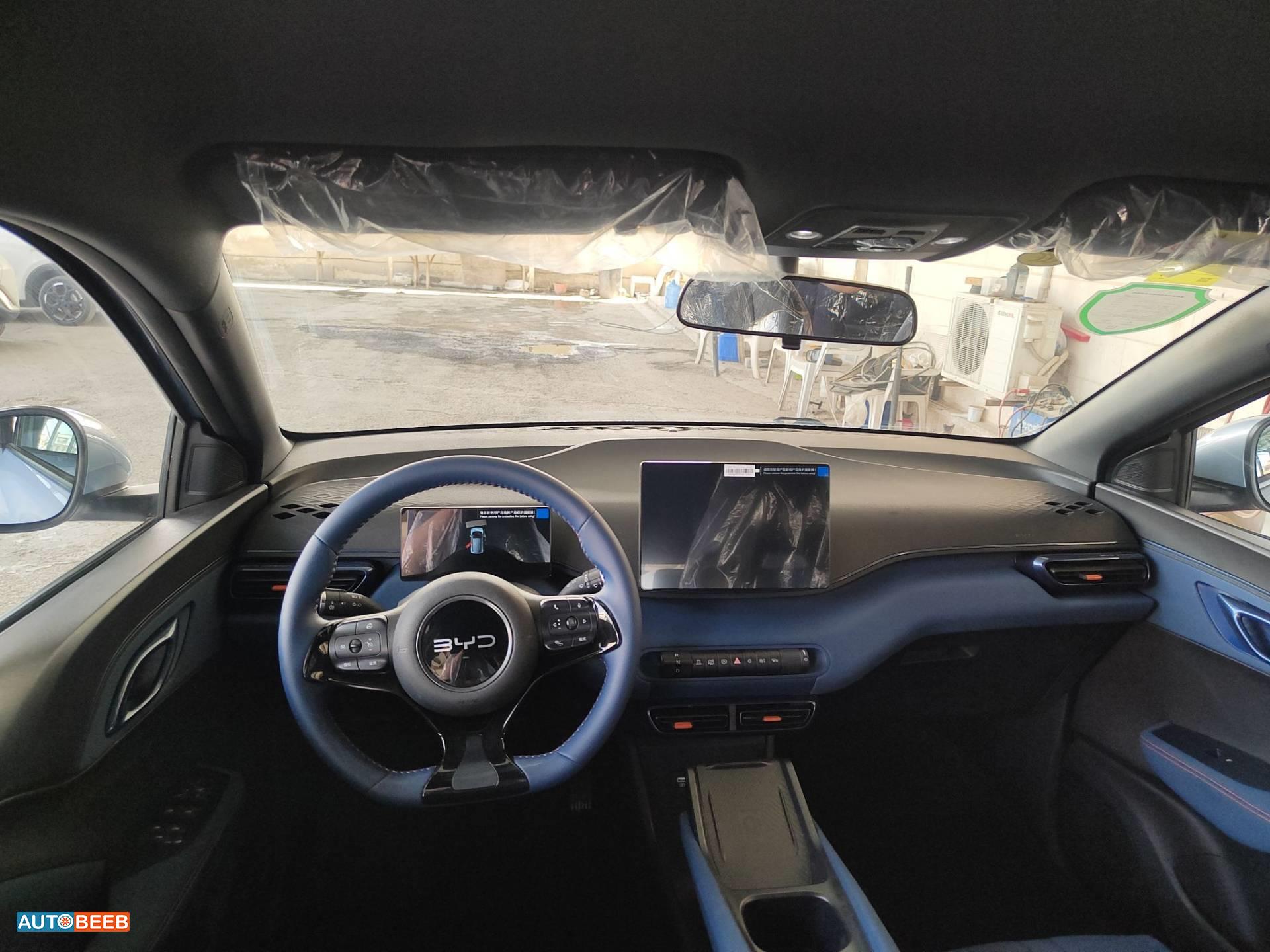 BYD Seagull 2024