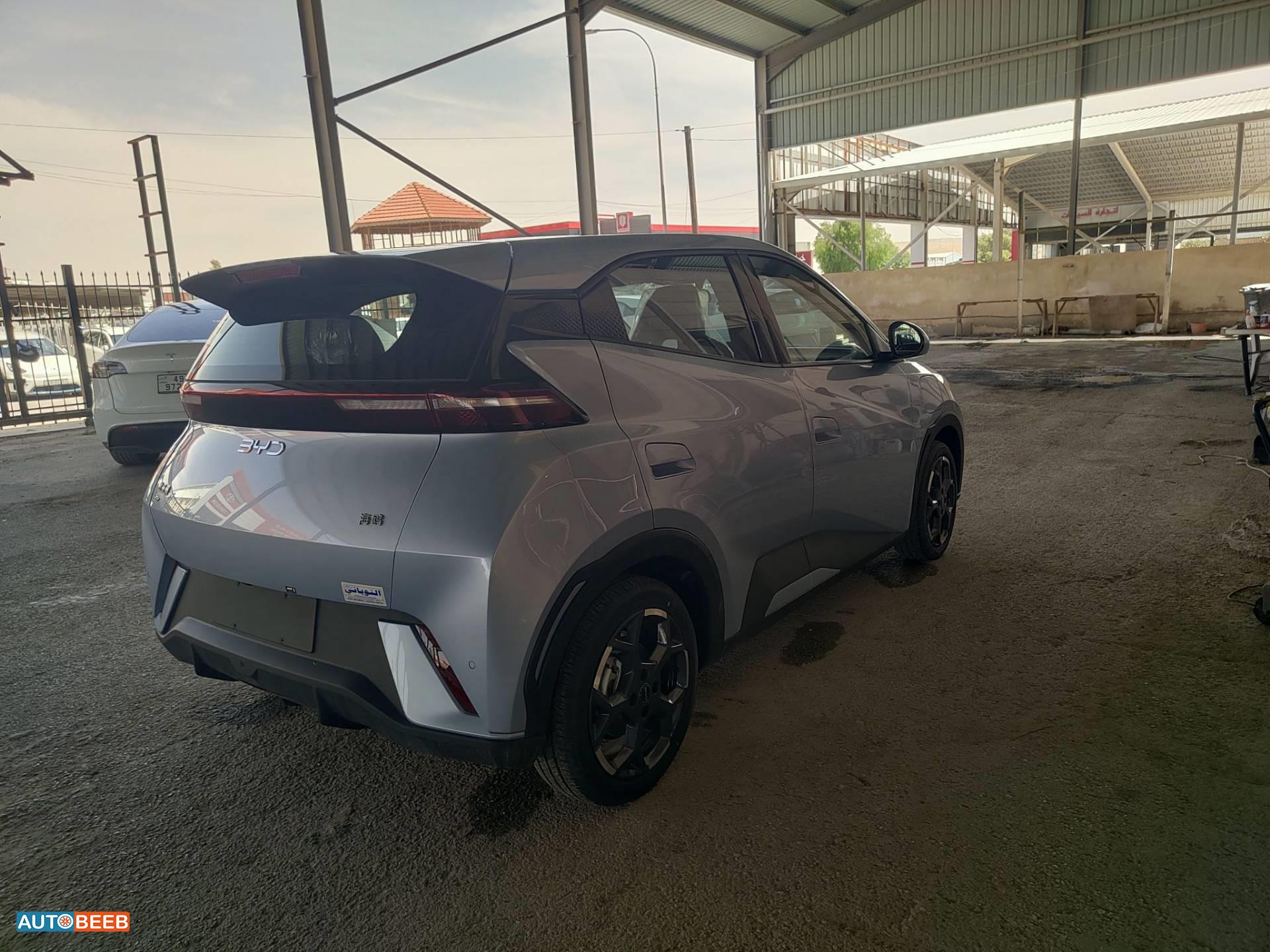 BYD Seagull 2024