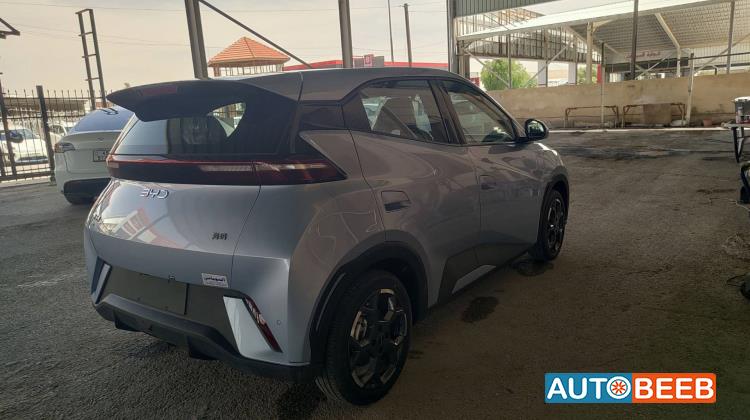 BYD Seagull 2024
