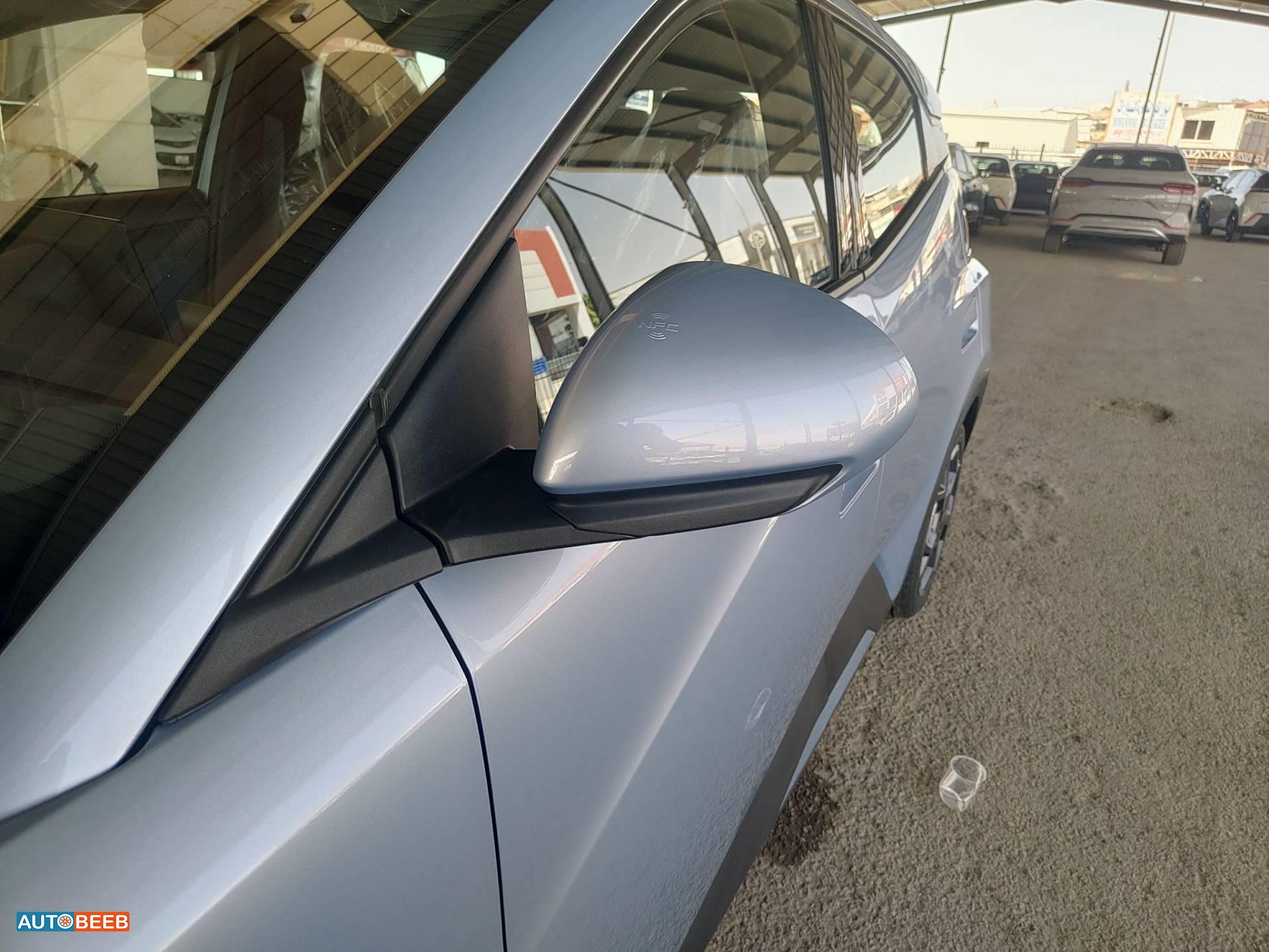 BYD Seagull 2024