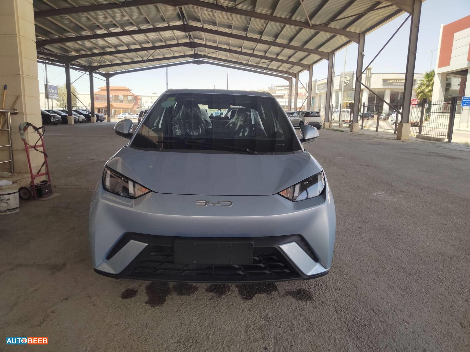BYD Seagull 2024