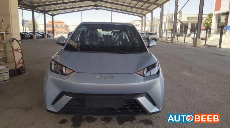 BYD Seagull 2024