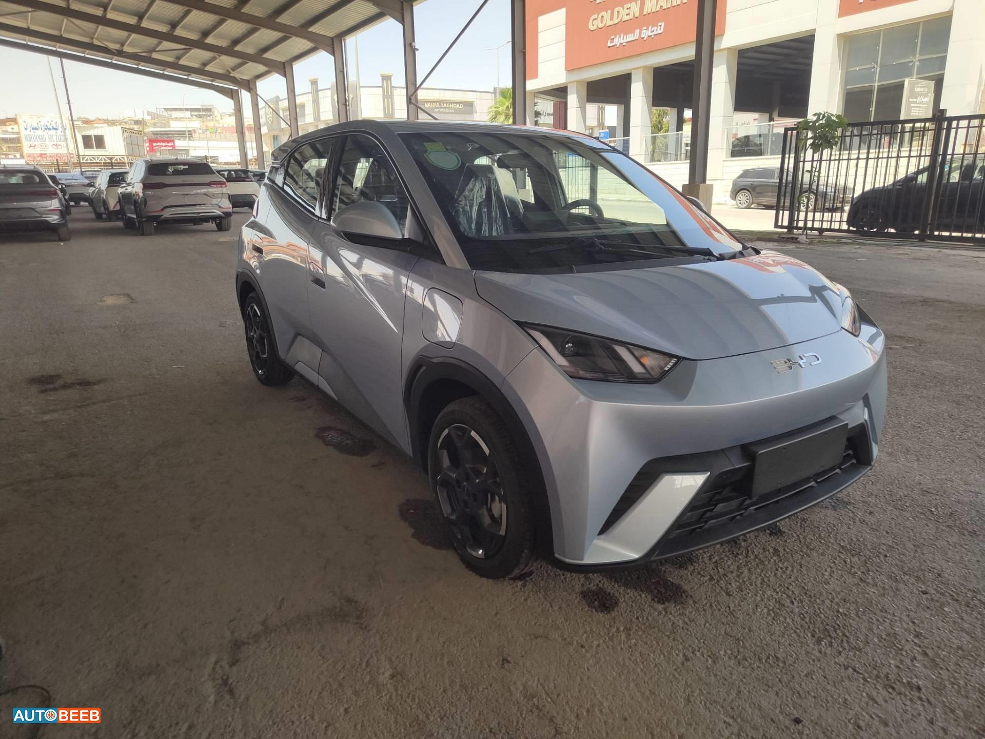 BYD Seagull 2024