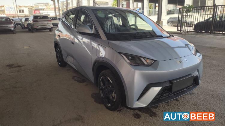 BYD Seagull 2024