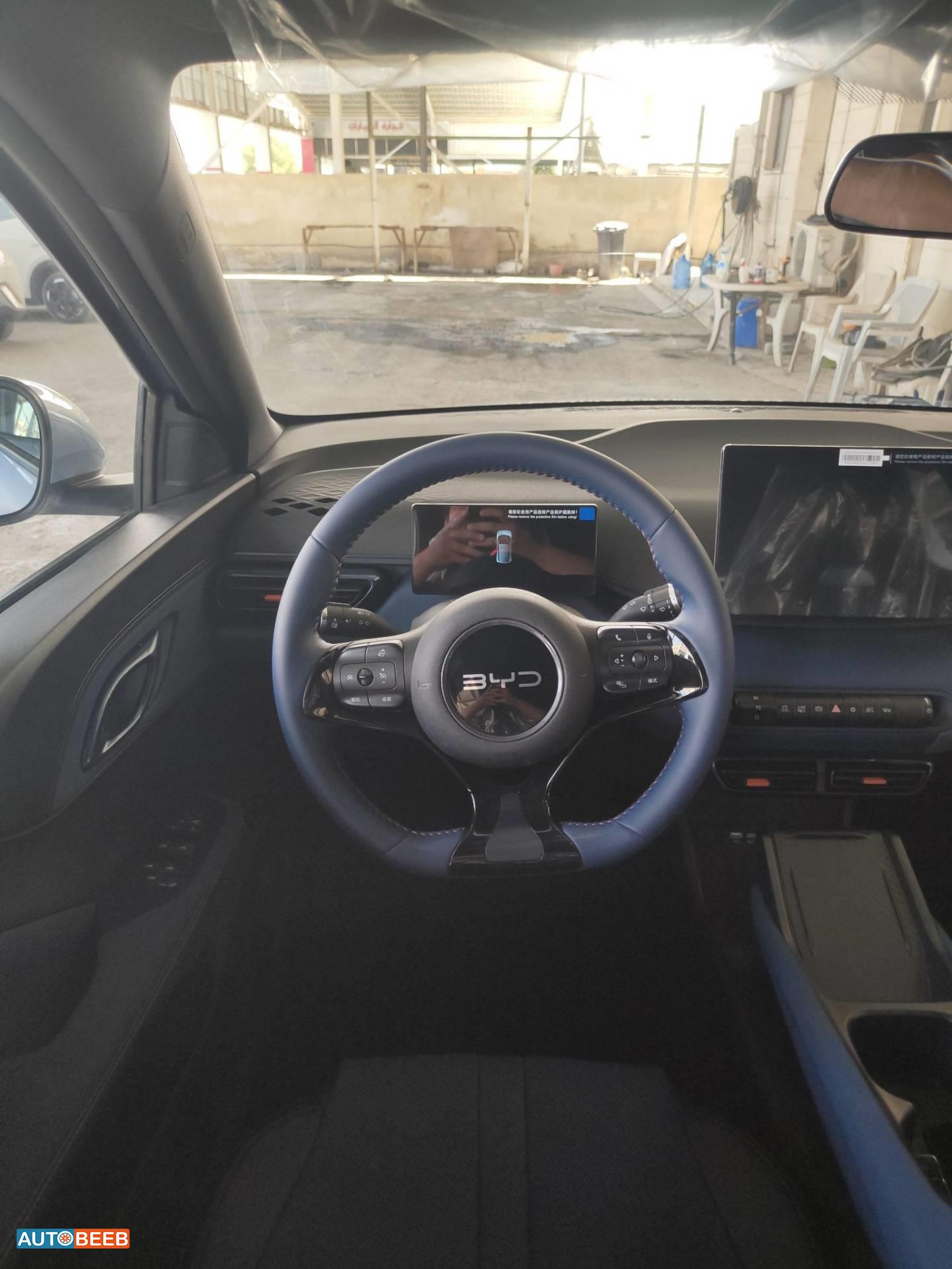 BYD Seagull 2024