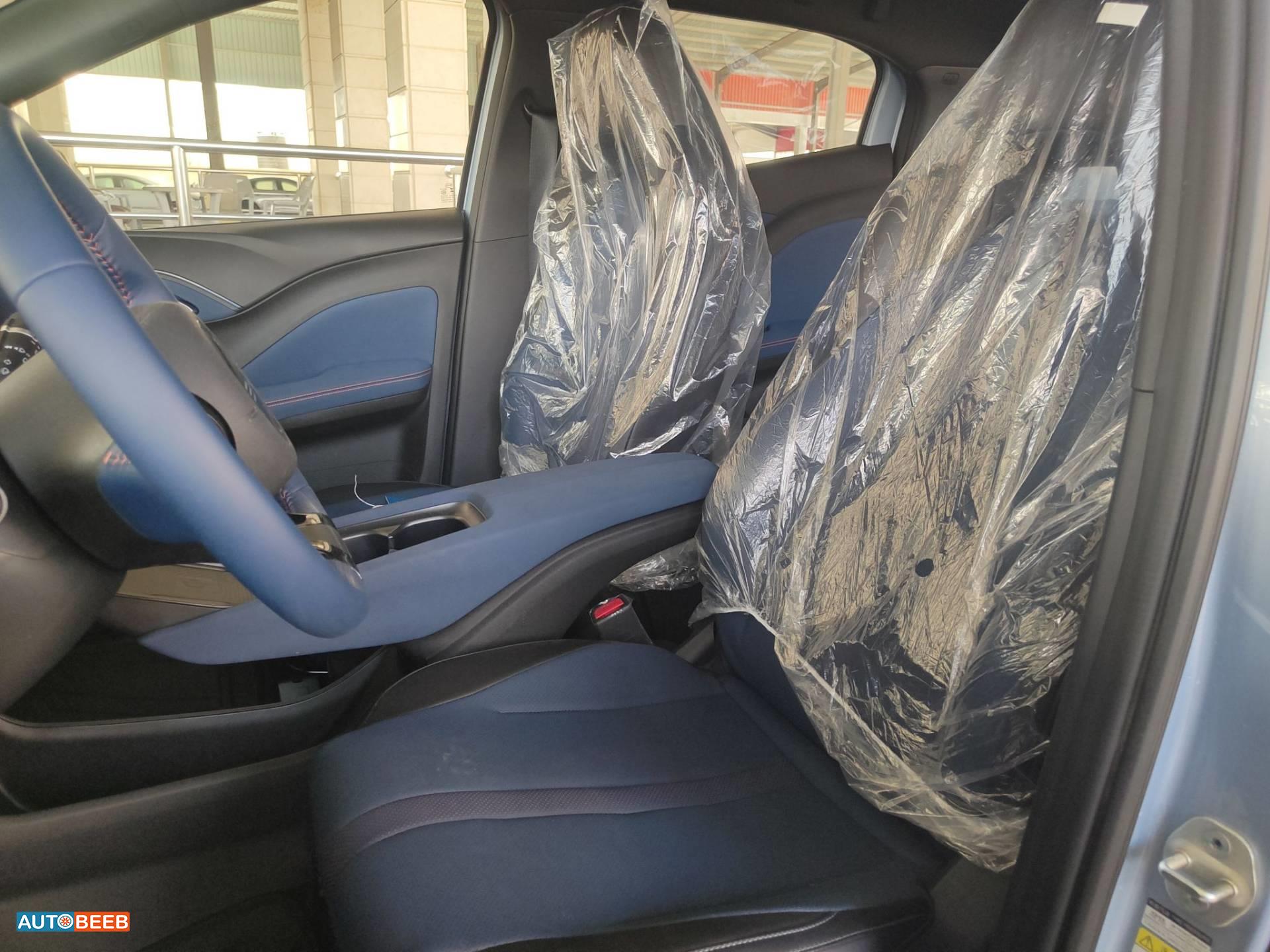 BYD Seagull 2024