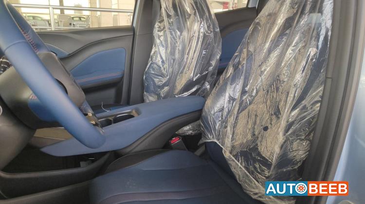 BYD Seagull 2024