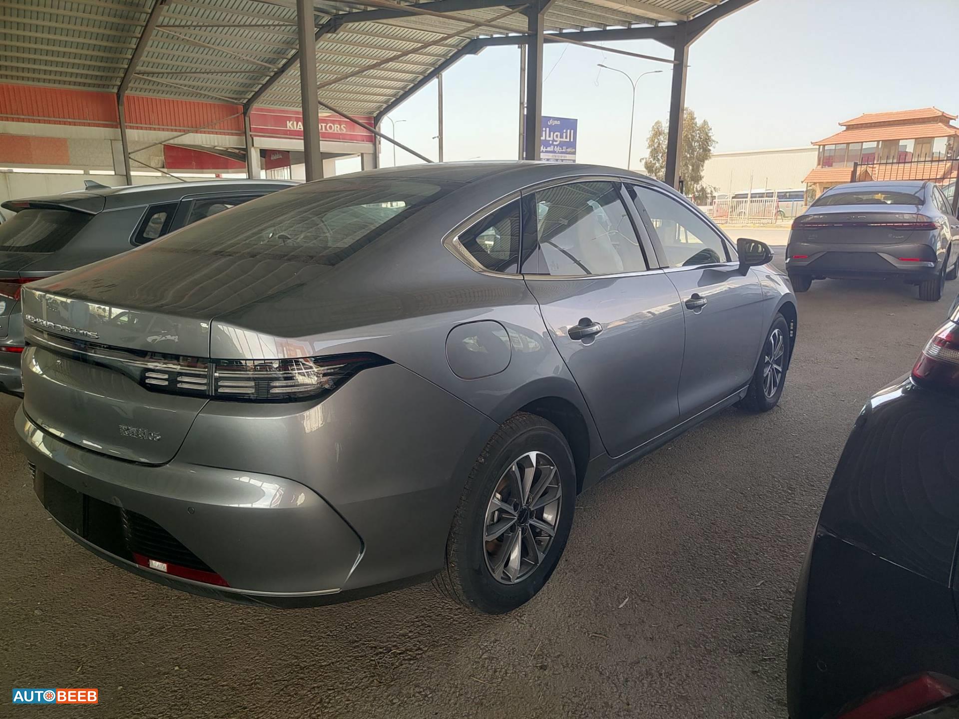 بي واي دي ديستروير 2025