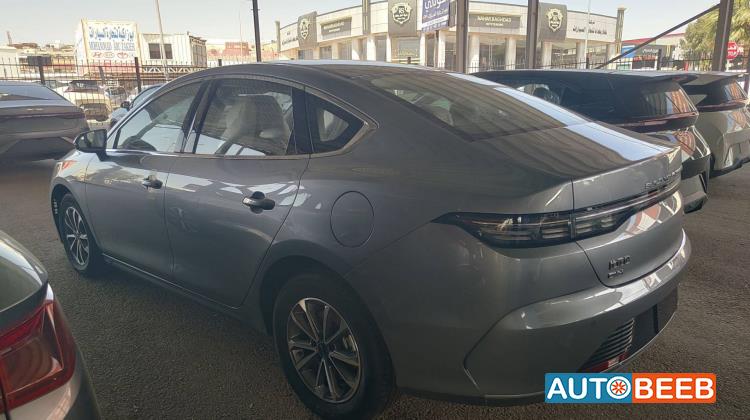 بي واي دي ديستروير 2025