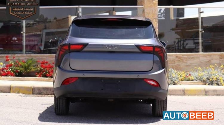 Neta V 2021