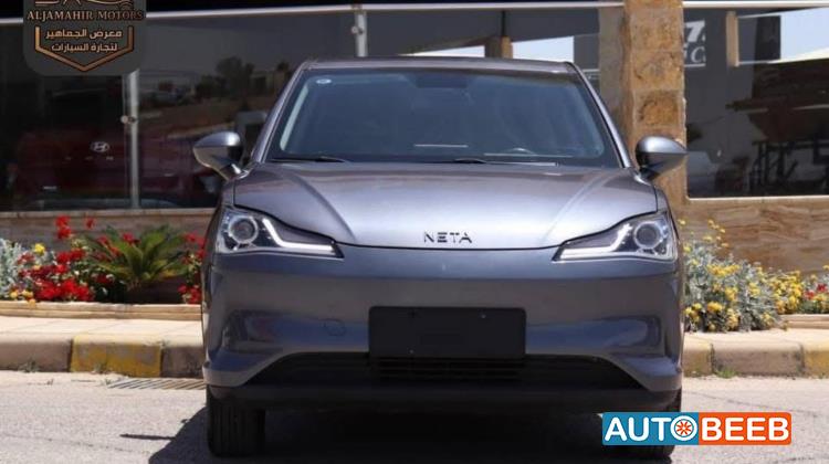Neta V 2021