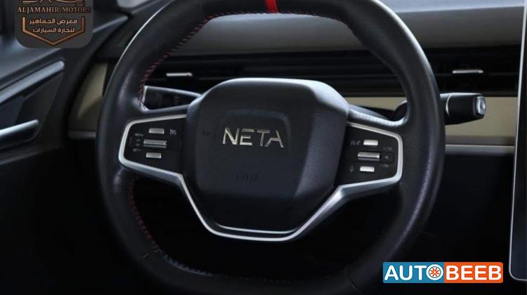 Neta V 2021