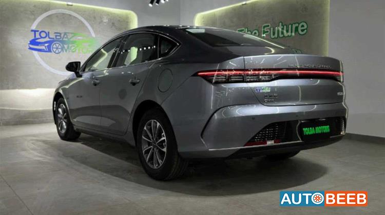 بي واي دي ديستروير 2025