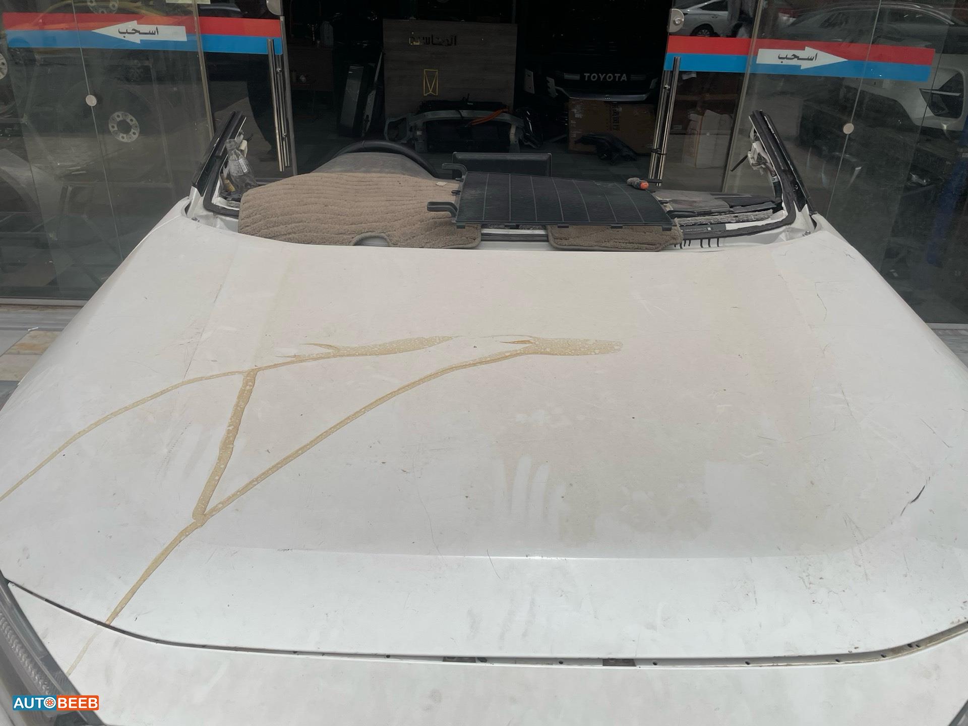 Body  Hood Toyota RAV4