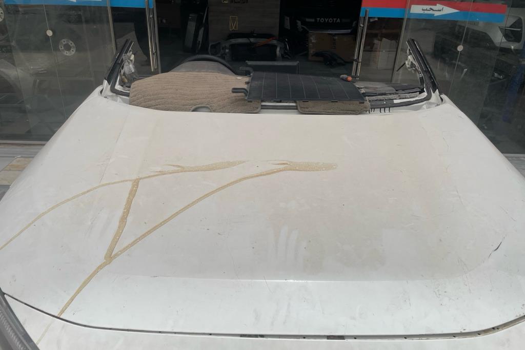 Body  Hood Toyota RAV4