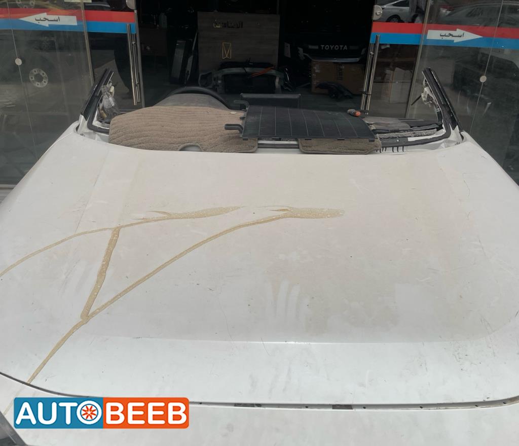 Body  Hood Toyota RAV4