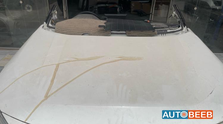 Body  Hood Toyota RAV4