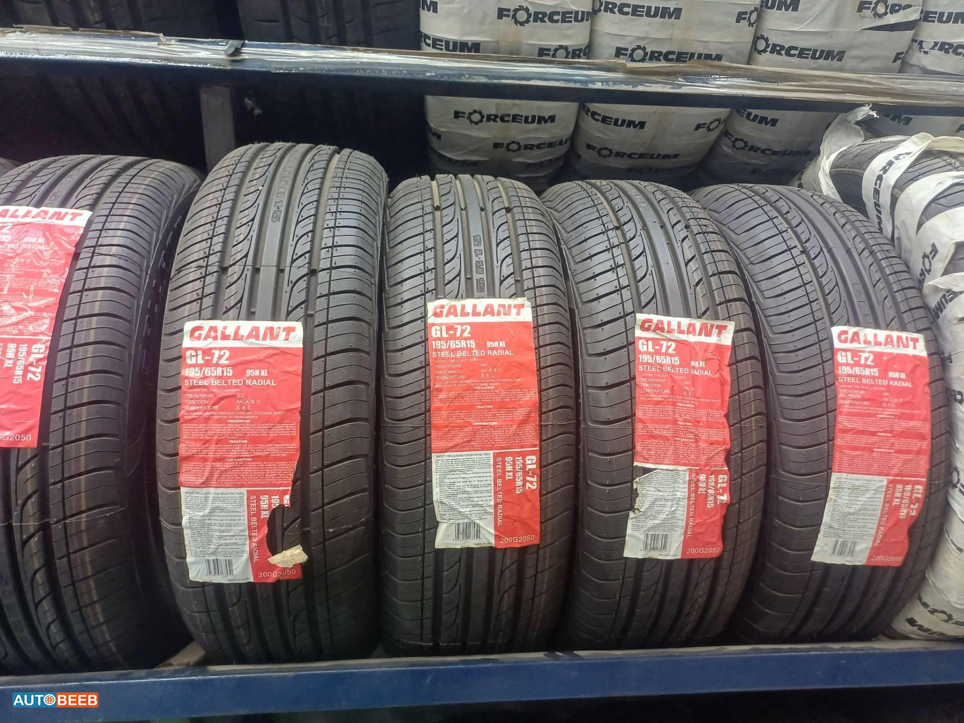  Wheel and Rims  